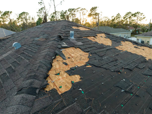 Best Roof Ventilation Installation  in Hideo, UT